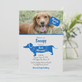 Fun Blue Gray Pet Dog Muzzle Tov Bark Mitzvah Einladung (Stehend Vorderseite)