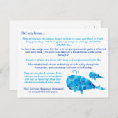 Fun Blue Whale Fakten Postkarte (Vorne/Hinten)