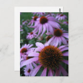 Fun-Blume Postkarte (Vorne/Hinten)