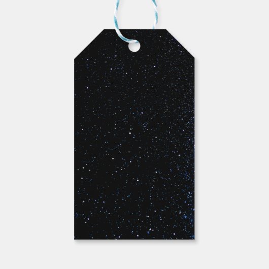 Fun Bowling party for Kids Geschenkanhänger (Rückseite)