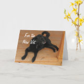 Fun Canine Vet Graduate Herzlichen Glückwunsch Abs Karte (Gelbe Blume)