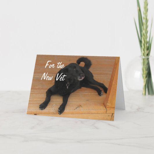 Fun Canine Vet Graduate Herzlichen Glückwunsch Abs Karte (Vorderseite)