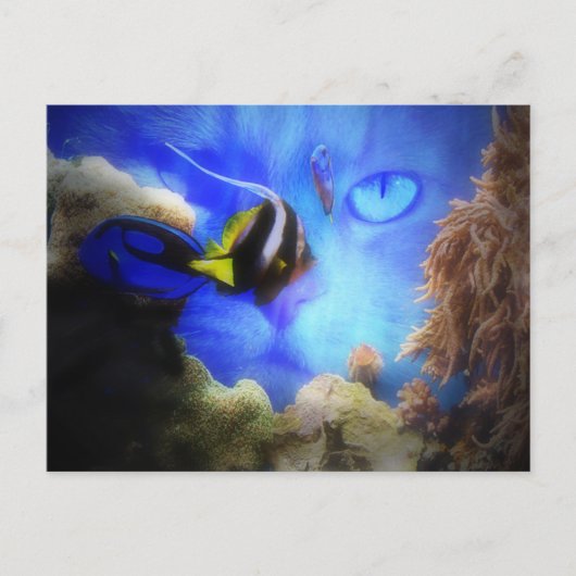 Fun Cat and Fish Postcard Postkarte (Vorderseite)