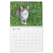 Fun Cat Calendar Kalender (Mär 2026)