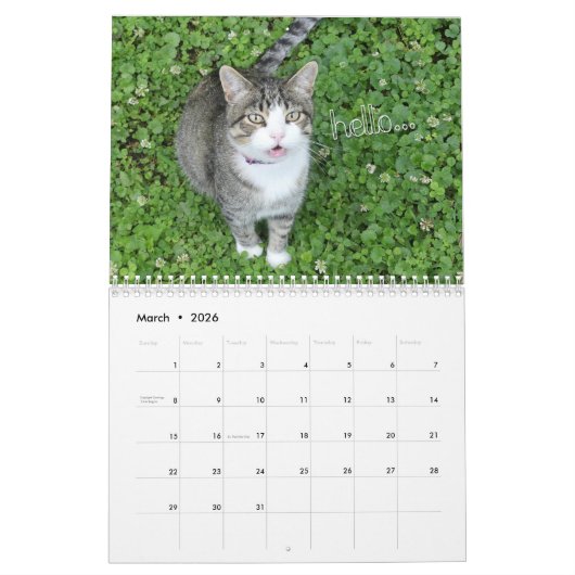 Fun Cat Calendar Kalender (Mär 2026)