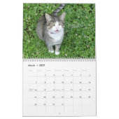 Fun Cat Calendar Kalender (Mär 2027)