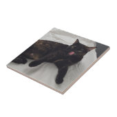 Fun Cat Foto mit Zunge raus, Fliesen (Seite)