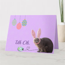 Fun Cat with Bunny Oars Custom Oaster Card