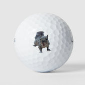 Fun Cheeky Squirrel Golf Balls Golfball (Vorderseite)