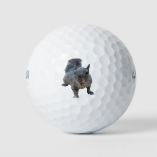 Fun Cheeky Squirrel Golf Balls Golfball