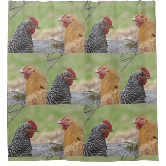 Fun Chicken Duschvorhang (Vorderseite)