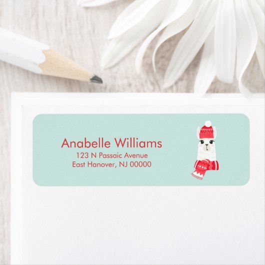 Fun Christmas Alpaca (Insitu)