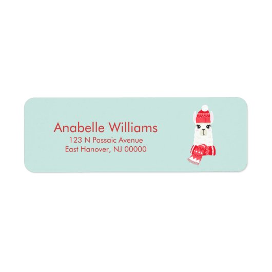 Fun Christmas Alpaca (Vorne)