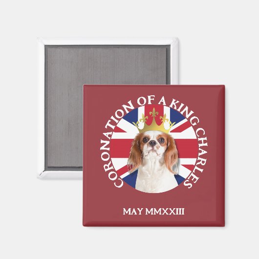 Fun CORONATION eines Königs Charles Spaniel Magnet (Vorderseite/Rückseite)