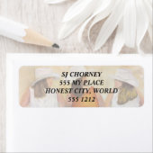 FUN COWGIRLS RÜCKSENDEADRESSEN-AUFKLEBER (Insitu)