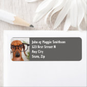 Fun Dackel Hund mit Brille Haustier (Insitu)