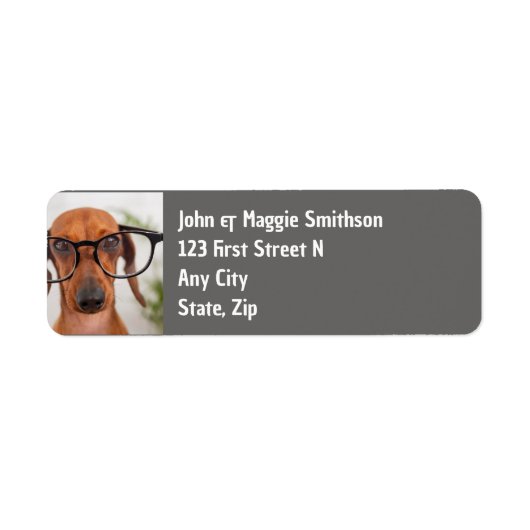 Fun Dackel Hund mit Brille Haustier (Vorne)