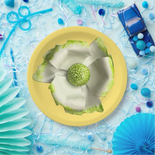 Fun Daisy Blume Frühjahrssommer Hochzeit Geburtsta Pappteller (Party)