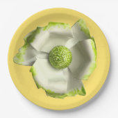 Fun Daisy Blume Frühjahrssommer Hochzeit Geburtsta Pappteller (Vorderseite)