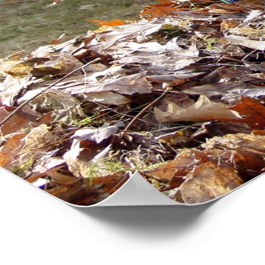 "Fun de Leafpile" Poster (Ecke)