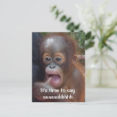 Fun Dentist Ernennung Erinnerung Postkarte (Stehend Vorderseite)