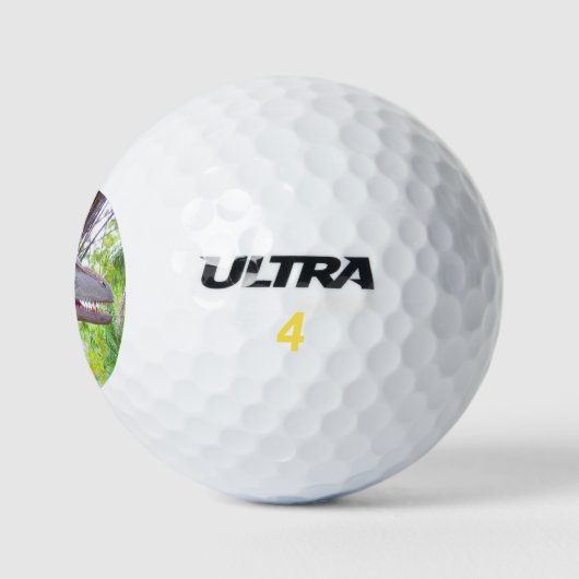 Fun Dinosaur - Daspletosaur Golf Balls Golfball (Logo)