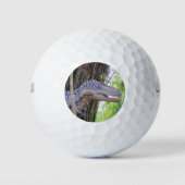 Fun Dinosaur - Daspletosaur Golf Balls Golfball (Vorderseite)