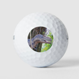 Fun Dinosaur - Daspletosaur Golf Balls Golfball
