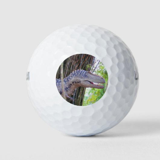 Fun Dinosaur - Daspletosaur Golf Balls Golfball (Vorderseite)