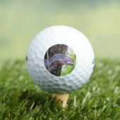 Fun Dinosaur - Daspletosaur Golf Balls Golfball (Insitu T-Shirt)