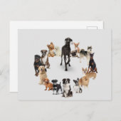 Fun Dog Breed PET Animals Large Clock Pocket Watch Postkarte (Vorne/Hinten)