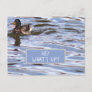 Fun Duck Postcard Feiertagspostkarte
