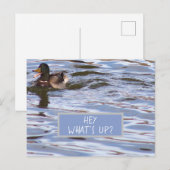 Fun Duck Postcard Feiertagspostkarte (Vorne/Hinten)