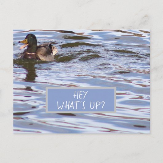 Fun Duck Postcard Feiertagspostkarte (Vorderseite)