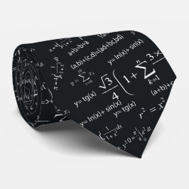 Fun Equations für Mathematiklehrer und Studierende Krawatte