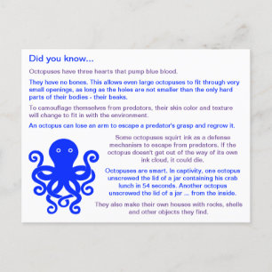 Fun Facts über Octopuses Postkarte