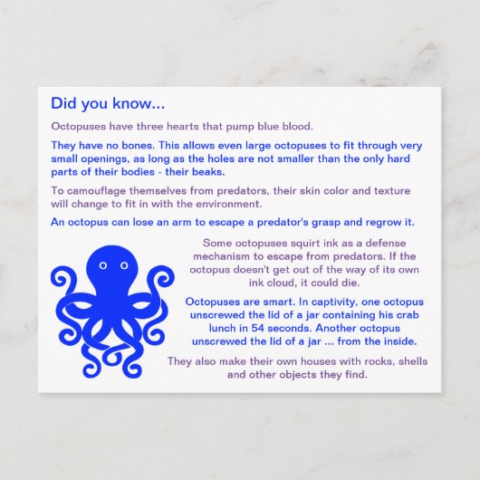 Fun Facts über Octopuses Postkarte (Vorderseite)