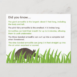 Fun Fakten über Armadillos Postkarte