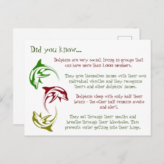 Fun Fakten über Delphine Postkarte (Vorne/Hinten)