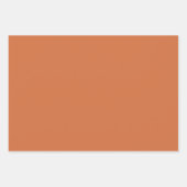 Fun Fall Pumpkins koordiniert Geschenkpapier Set (Vorderseite 2)