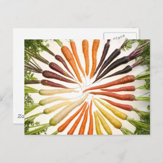 Fun farbenfrohe Karotten Postkarte (Vorne/Hinten)