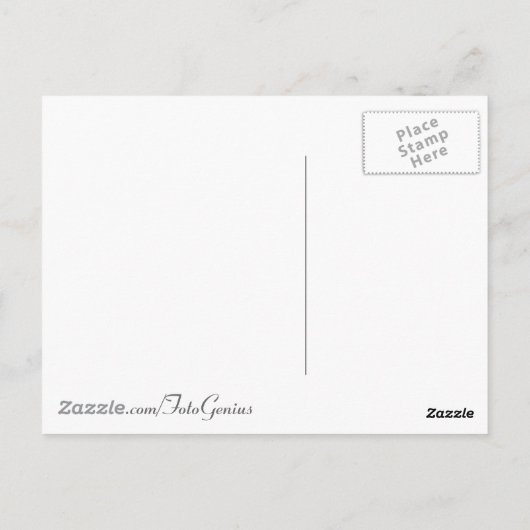 Fun farbenfrohe Karotten Postkarte (Rückseite)