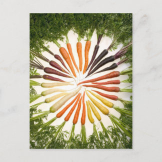 Fun farbenfrohe Karotten Postkarte