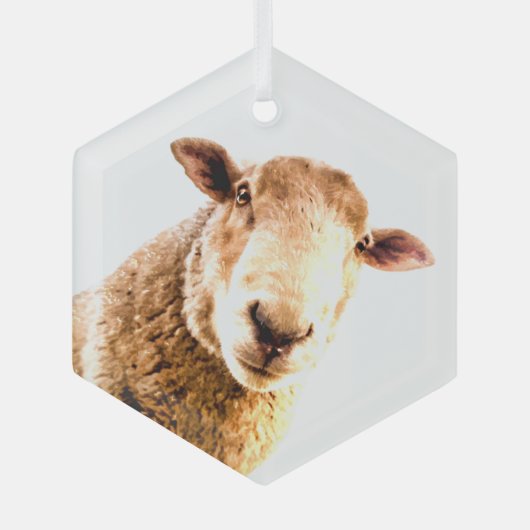 Fun Farm Animal Sheep Ornament Aus Glas (Vorderseite)