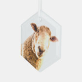Fun Farm Animal Sheep Ornament Aus Glas (Vorderseite Links)