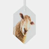 Fun Farm Animal Sheep Ornament Aus Glas (Vorderseite Rechts)