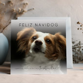 Fun Feliz Navidog | Foto Weihnachten