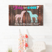 Fun "Filly or Colt" Gender Reveal Banner (Insitu)