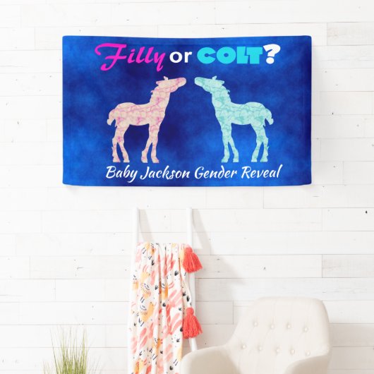 Fun "Filly or Colt" Gender Reveal Banner (Insitu)