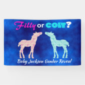 Fun "Filly or Colt" Gender Reveal Banner (Horizontal)